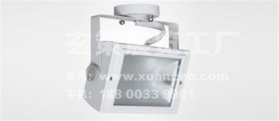 吸頂式金鹵燈 吸頂式金鹵燈